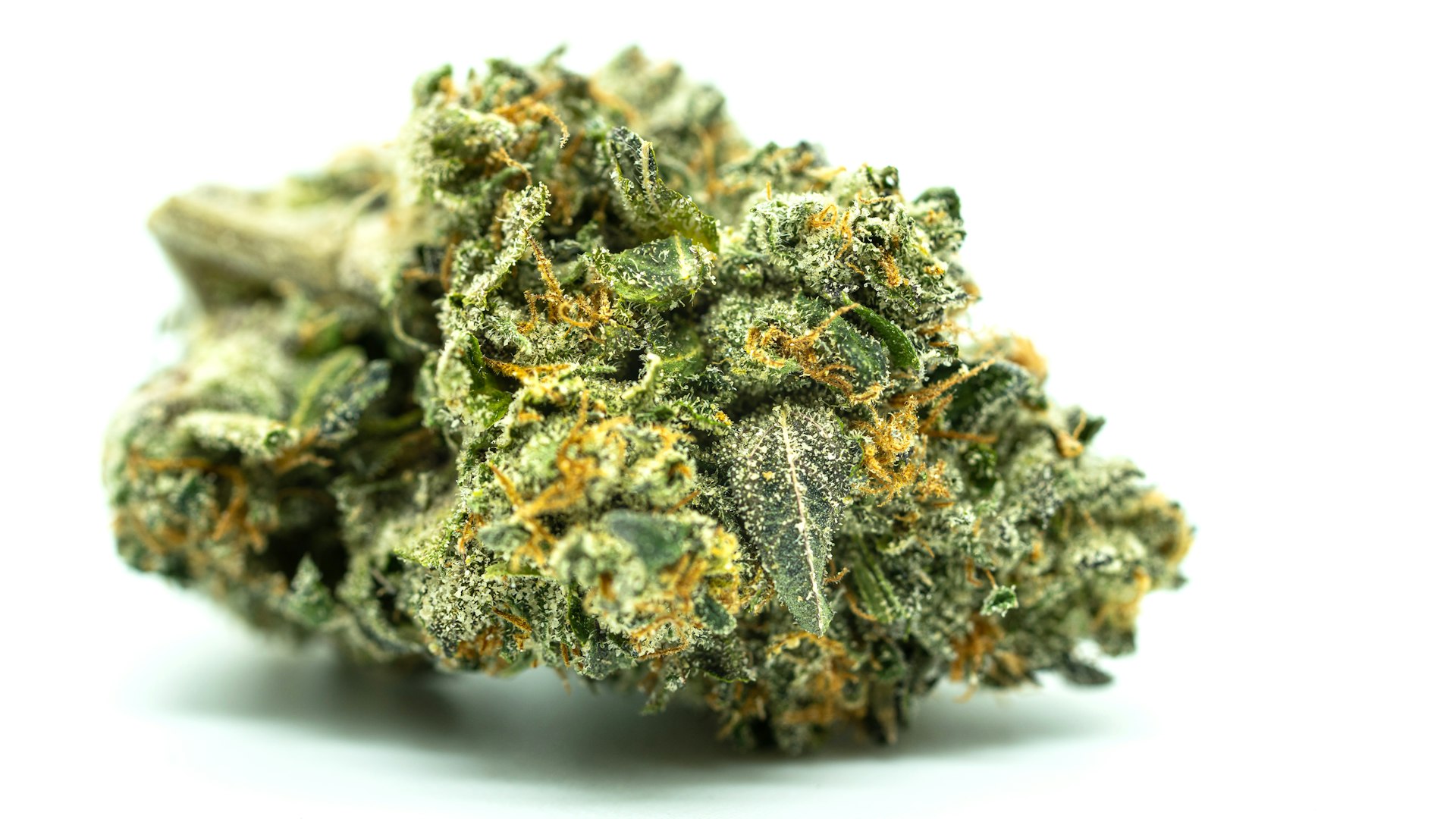 Madrid cannabis pricing guide 2026 – flower, hash, edibles, and club membership costs