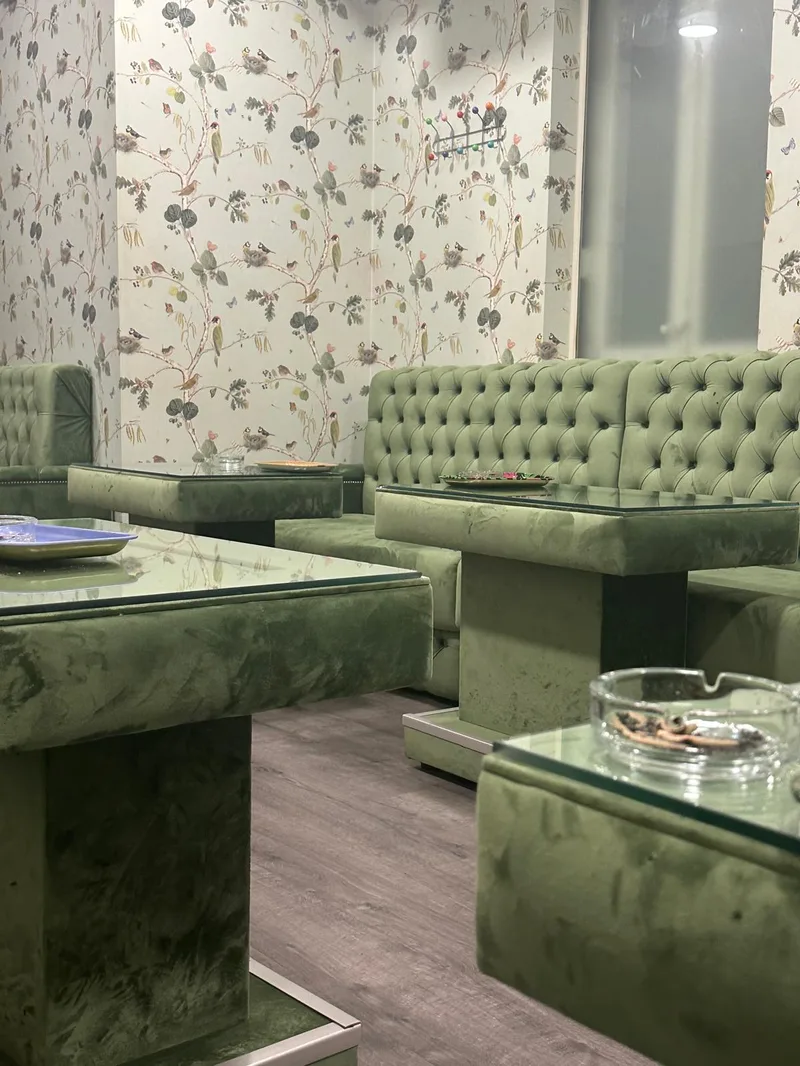 Seating area at Mimosa cannabis club Madrid with modern furniture and ambient decor